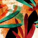 Kafita Com Proteção Uv